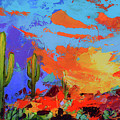 Saguaros Land Sunset